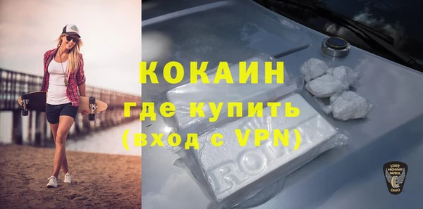 крисы Ростов