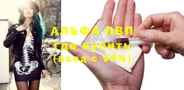 индика Россошь