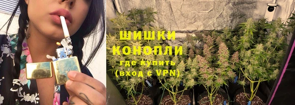 дживик Баксан